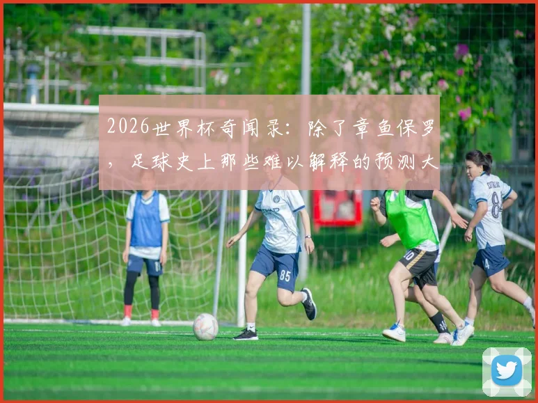 2026世界杯奇闻录：除了章鱼保罗，足球史上那些难以解释的预测大师与他们的预言